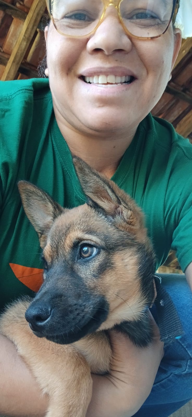 Foto de LOBINHO GUARá