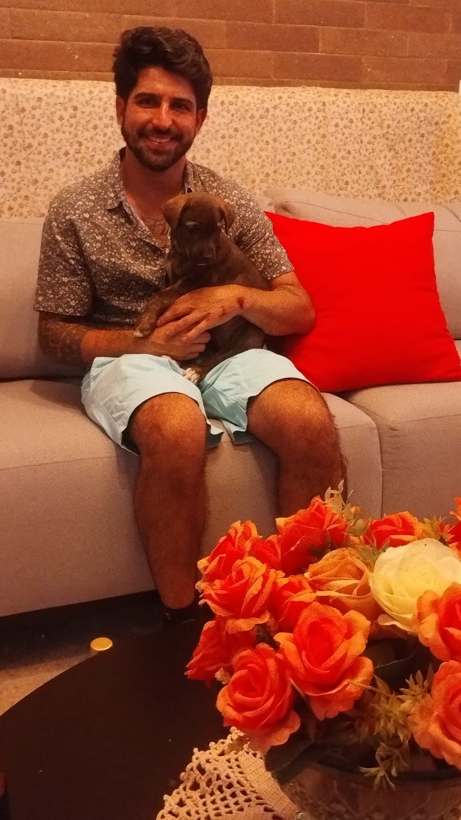 Foto de MERLIN