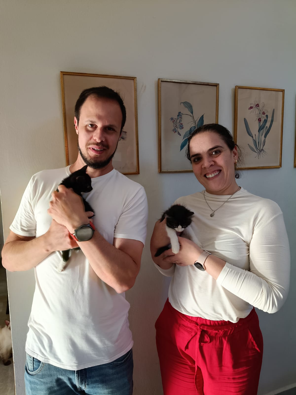 Foto de OTTO