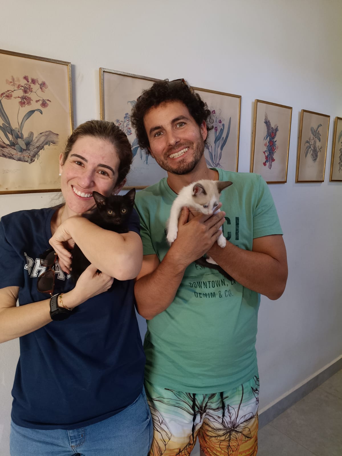 Foto de LISA