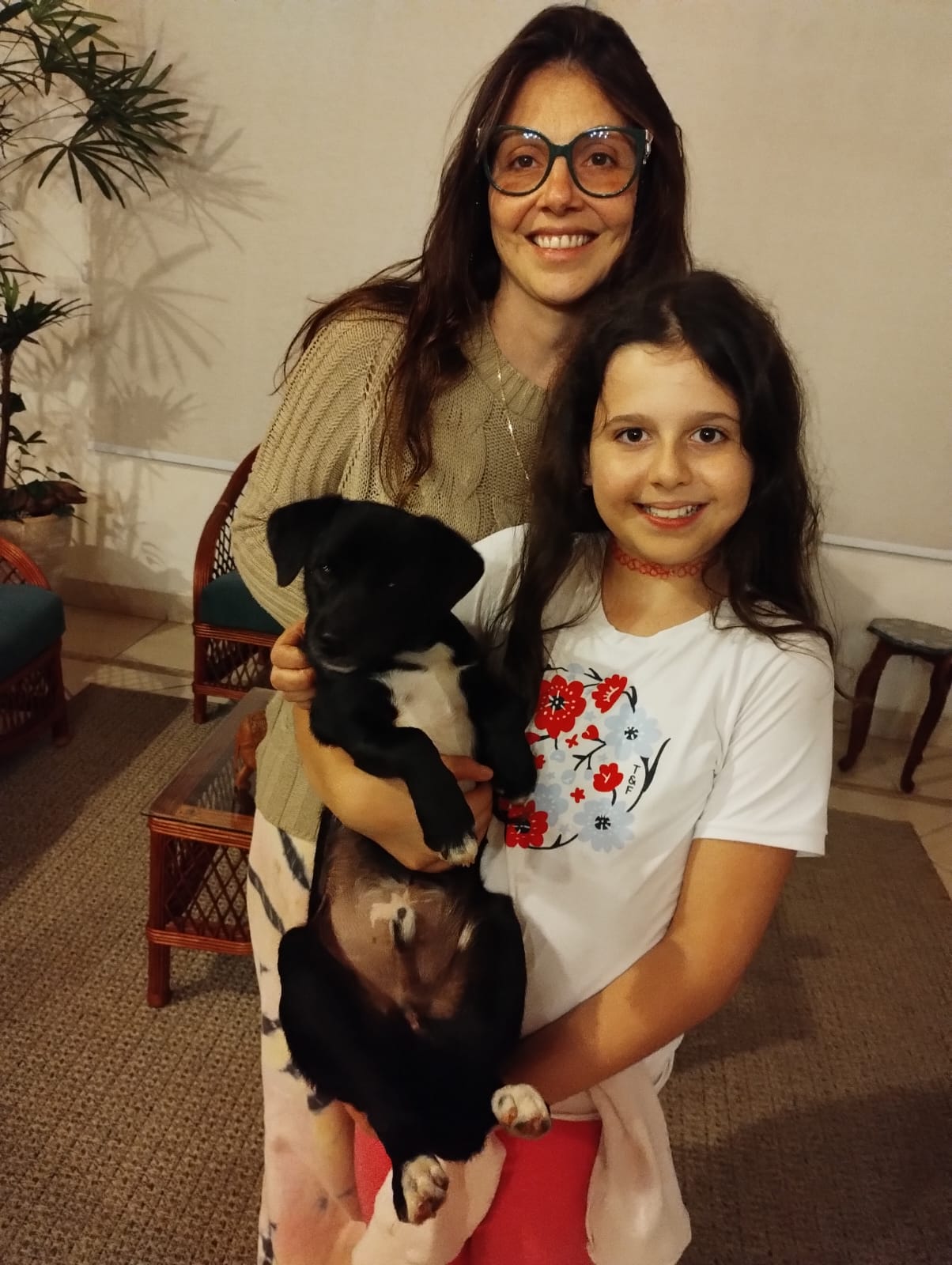 Foto de AMARO