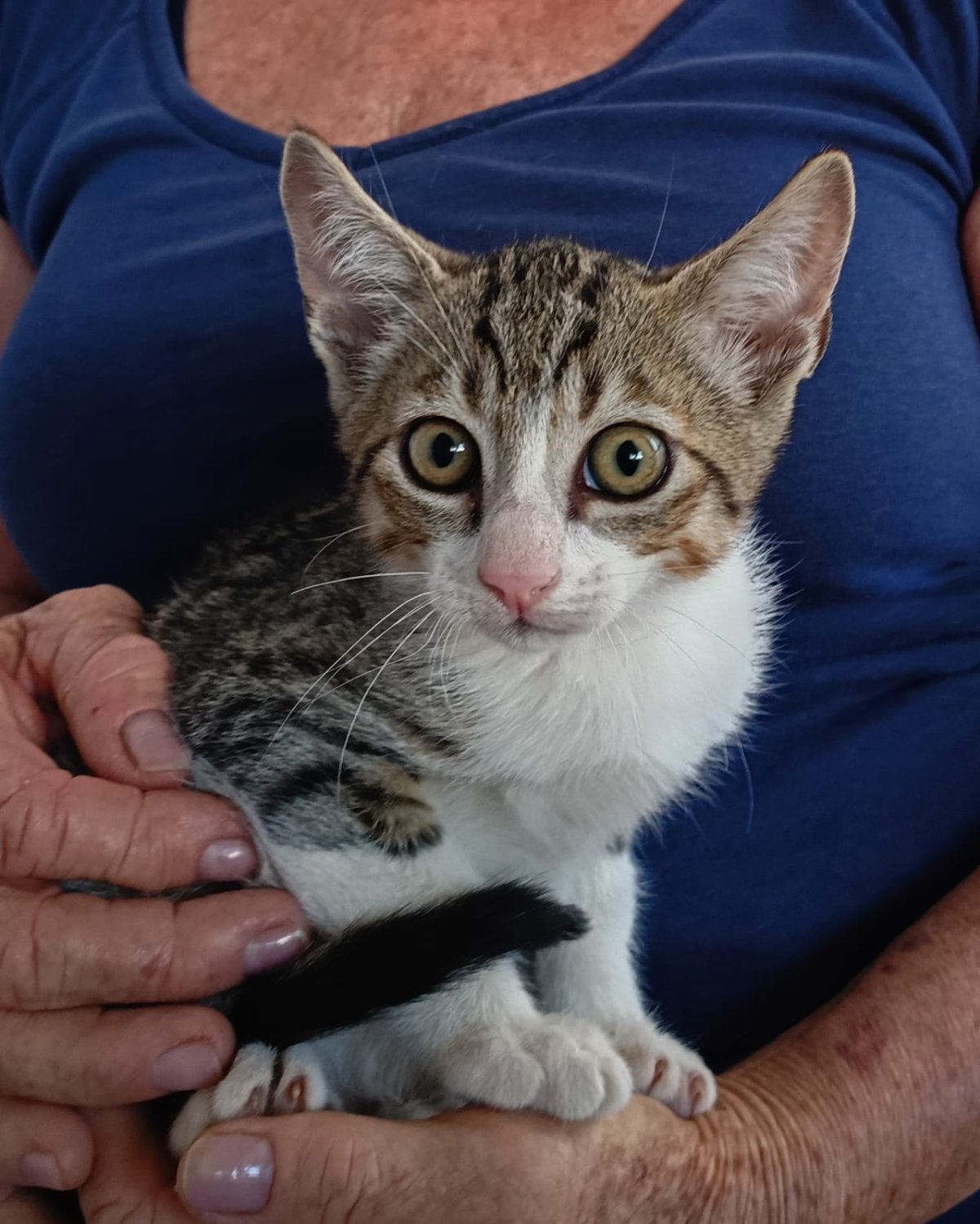 COALA