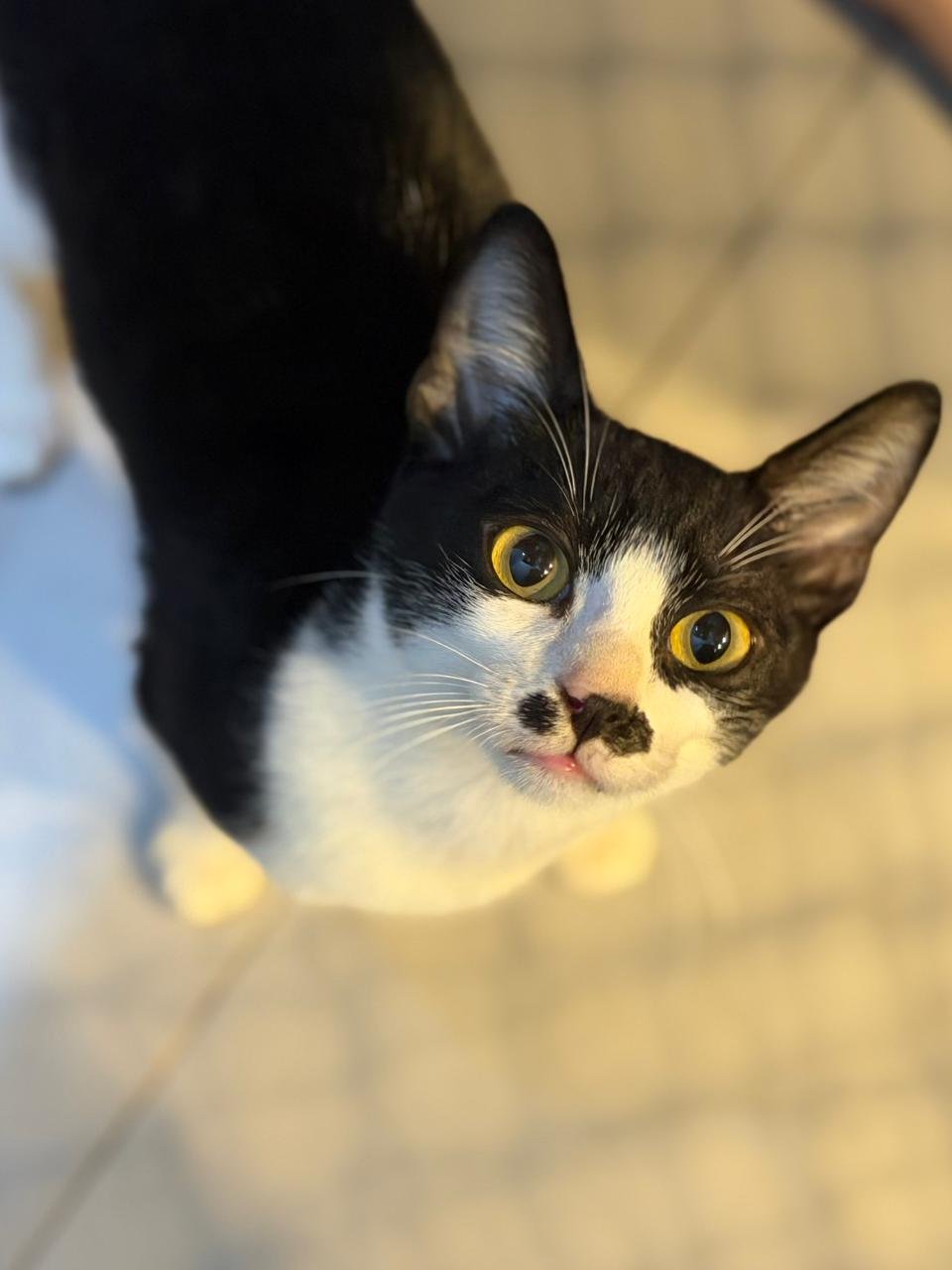 CHARLES