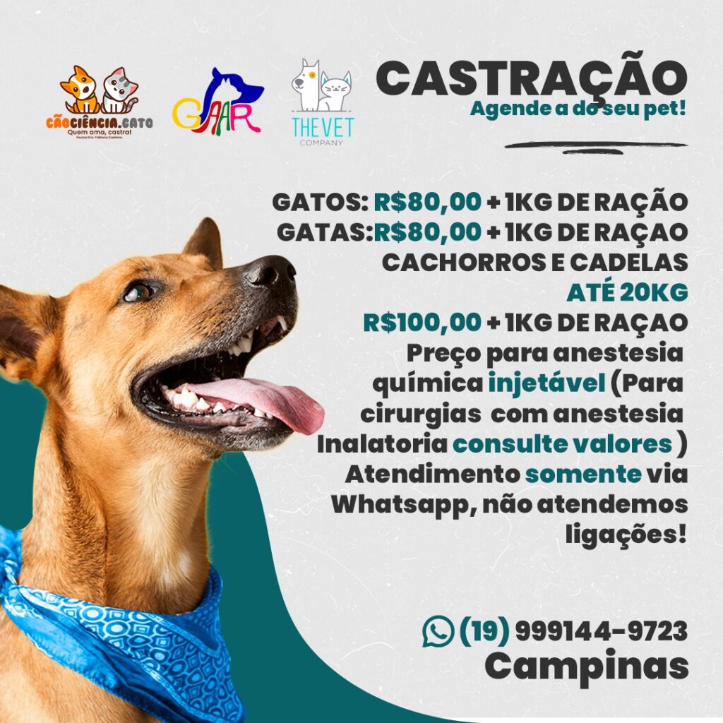 castraçao de cachorro preço